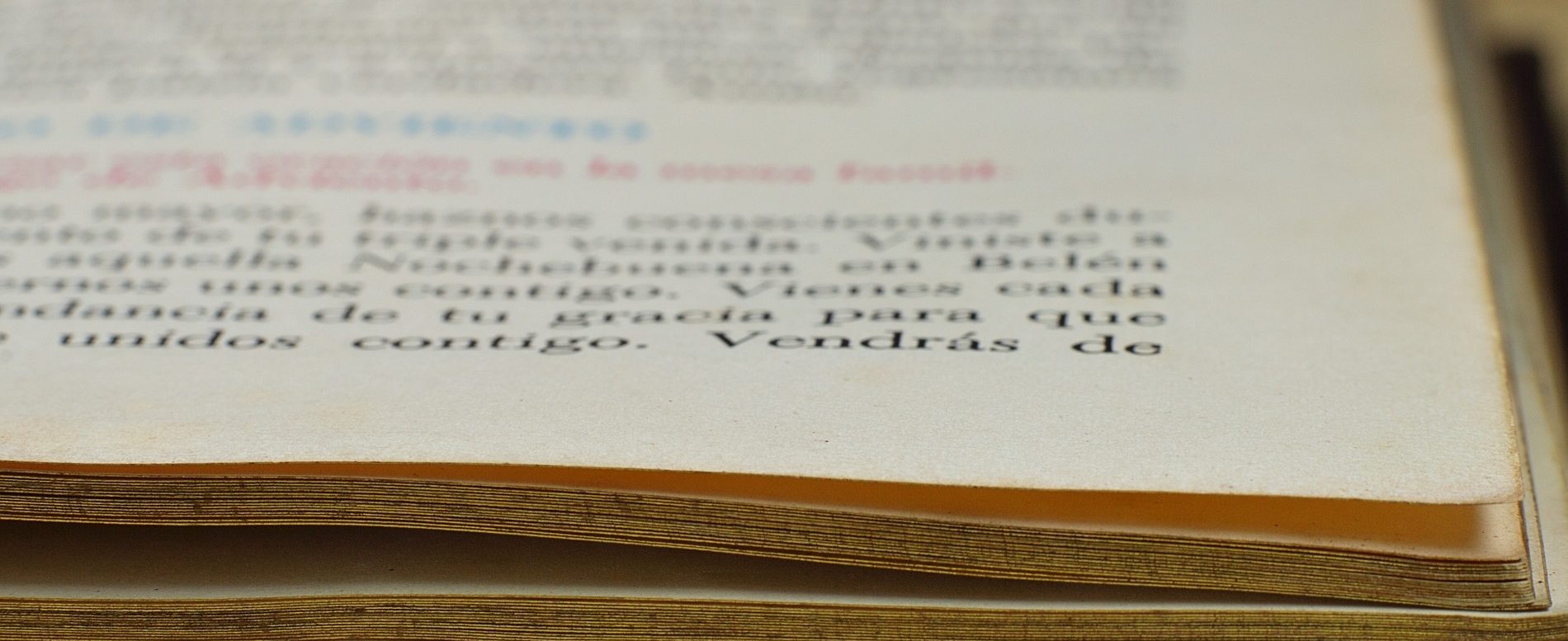 語学留学ブログはこちら